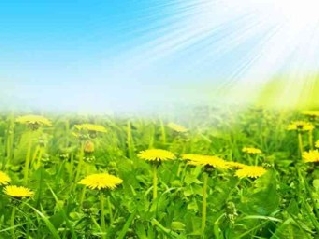 http://stihidl.ru/files/poem/poem_207501.jpg