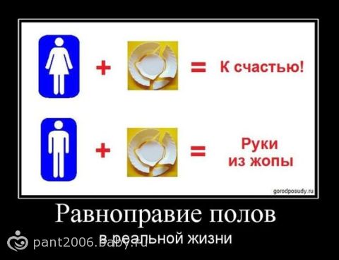 8388175.795611.jpeg